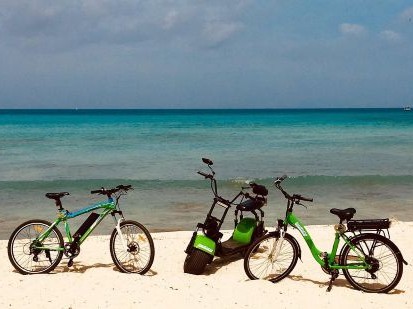 Enjoy Key West | tourist transportation 413 309 1 Enjoy Key West | tourist transportation 413 309 1