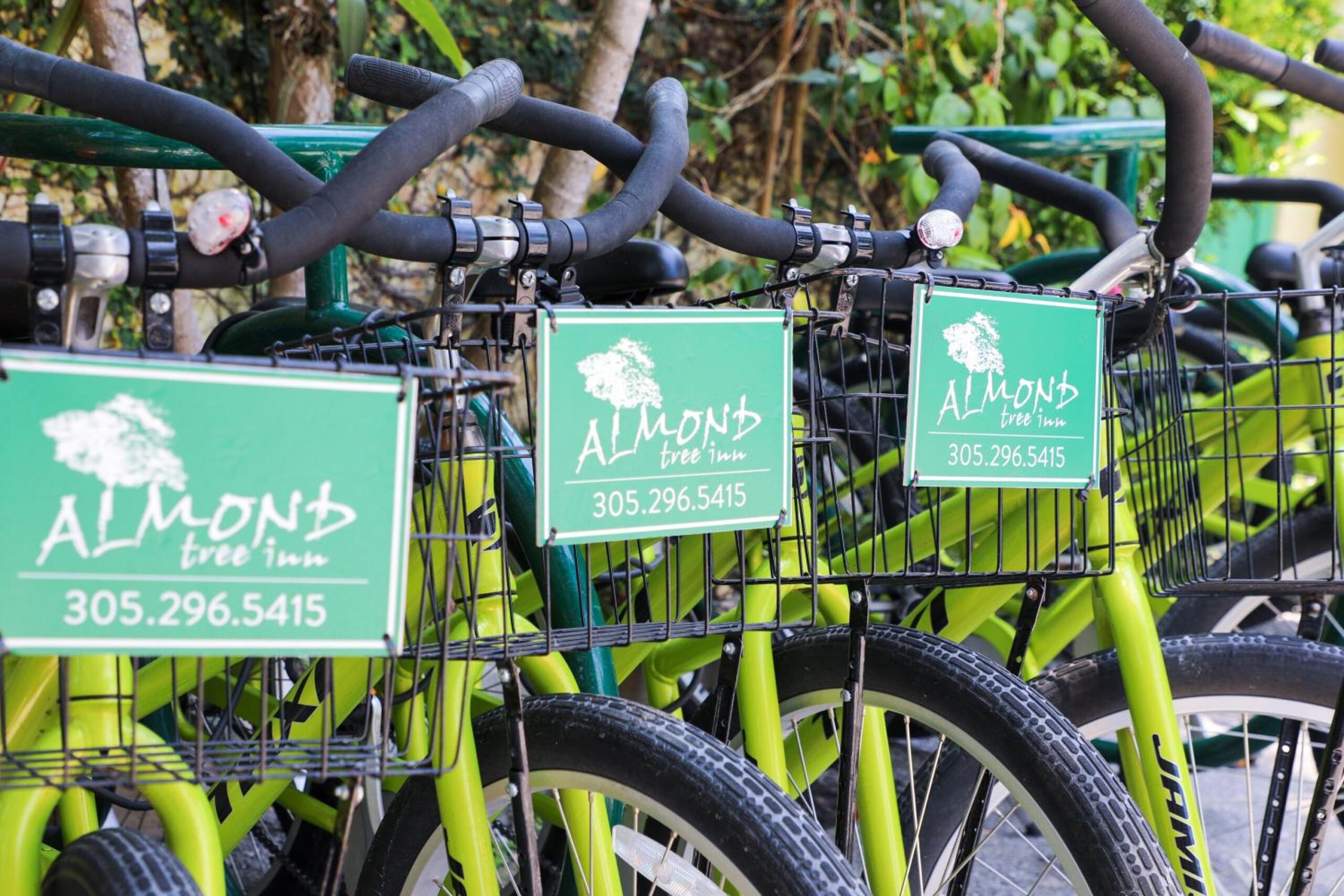 Almond Tree Inn Rentals