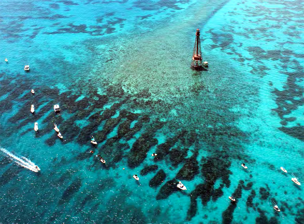 Big Pine Key | Big Pine Key Looe Key Reef Big Pine Key Looe Key Reef