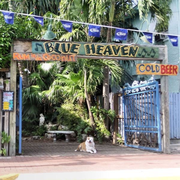 Blue Heaven Restaurant