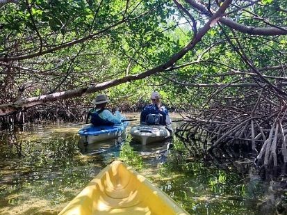 Key West Tours | Kayak Tours Key West Key West Tours Kayaking
