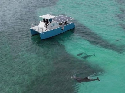Key West Tours | Key West Tours Dolphin Watching Key West Tours Dolphin Watching